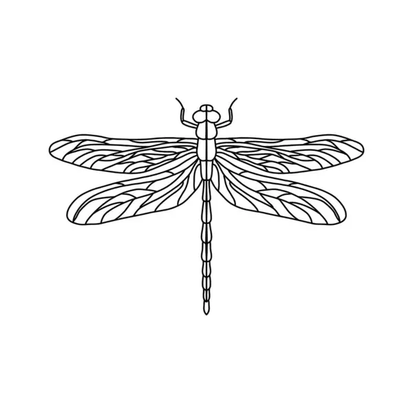 Vetor Preto Logotipo Ícone Símbolo Libélula Dragonfly Esboço Libélula Isolada Vetores De Stock Royalty-Free