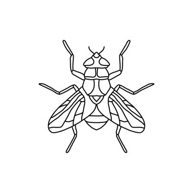 Sinek özeti simgesi. Sinek çizgisi sanat çizgisi çizimi. Çizgi grafik tasarımı. Siyah beyaz çizim böceği.