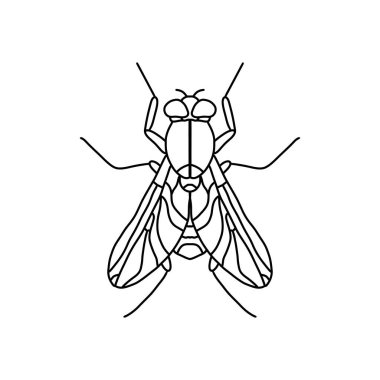 Sinek özeti simgesi. Sinek çizgisi sanat çizgisi çizimi. Çizgi grafik tasarımı. Siyah beyaz çizim böceği.