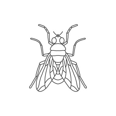 Sinek özeti simgesi. Sinek çizgisi sanat çizgisi çizimi. Çizgi grafik tasarımı. Siyah beyaz çizim böceği.