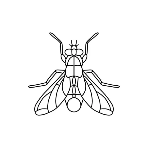Mosca Insecto Contorno Icon Fly Línea Arte Vector Ilustración Diseño Gráficos vectoriales