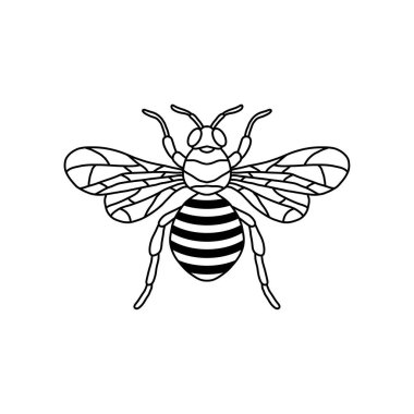 Arı ana hatlı siyah ikon. Resmi beyaz arkaplanda izole et. Bal ürünleri, paket, tasarım için böcek silueti vektör çiziminin grafiksel çizimi.