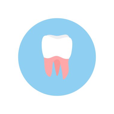 Azı dişler düz tasarım vektör çizimi. Ağız tıbbı, stomatoloji, diş hekimliği kavramları. Beyaz diş. Modern düz tasarım grafik öğesi. Vektör illüstrasyonu