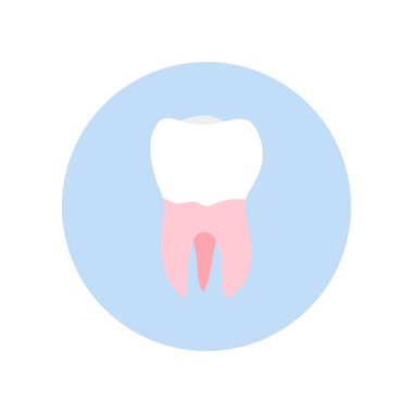 Azı dişler düz tasarım vektör çizimi. Ağız tıbbı, stomatoloji, diş hekimliği kavramları. Beyaz diş. Modern düz tasarım grafik öğesi. Vektör illüstrasyonu