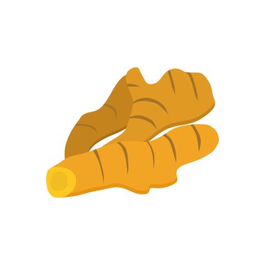 Beyaz arkaplanda zencefil kökü rhizom bitkisi düz tasarım vektör çizimi izole edildi. Sağlıklı gıda ikonu tıbbi ve yenilebilir bitki zencefili. Gıda baharatları ve bitkisel paketlerin tasarımı.