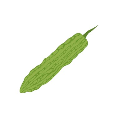 Beyaz arka planda izole edilmiş acı kabak düz tasarım vektör çizimi. Yeşil yapraklı acı kavun sebzeleri. Sağlıklı beslenmek için iyi organik gıda. Yeşil meyve ya da sebze. Balsam armudu tıbbi gıdalar.