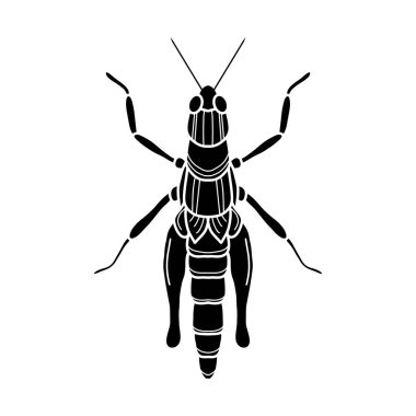 Çekirge siyah ve beyaz vektör çizimi. Peygamber devesi veya kriket, böcek konsepti, beyaz arka planda ince çizgi sembolü.