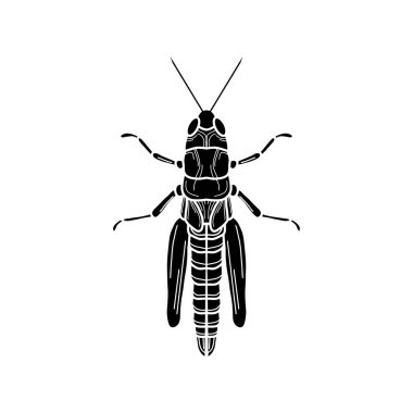 Çekirge siyah ve beyaz vektör çizimi. Peygamber devesi veya kriket, böcek konsepti, beyaz arka planda ince çizgi sembolü.