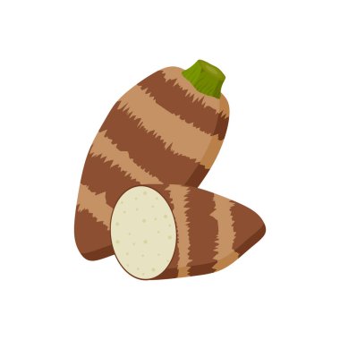 Taro kök düz tasarım vektör çizimi beyaz arkaplanda izole edildi. malanga, colocasia esculenta, satoimo. Çin ve Japon sebzeleri. Asya mutfağı malzemesi. Sağlıklı vejetaryen yemekleri.
