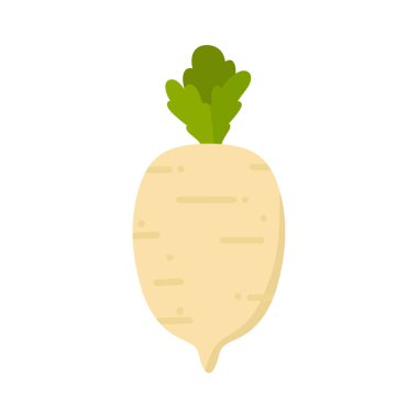 Turp veya şalgam. Beyaz arkaplanda vektör çizimi izole edildi. Şalgam bitkisi yemek pişirmek için.