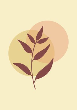 Soyut Şekilli Minimalist Botanik Resimler. Boho Stili Duvar Sanat Seti. Soyut Yapraklar ve Dekorasyon Şekilleriyle Resim Çerçeveleri.