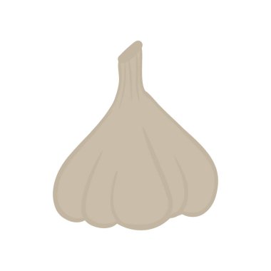 Beyaz arka planda izole edilmiş sarımsak vektör çizimi, doğal sağlıklı besin ve diyet. Vejetaryen ürünü..