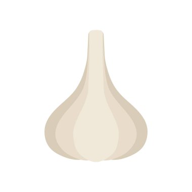 Beyaz arka planda izole edilmiş sarımsak vektör çizimi, doğal sağlıklı besin ve diyet. Vejetaryen ürünü..