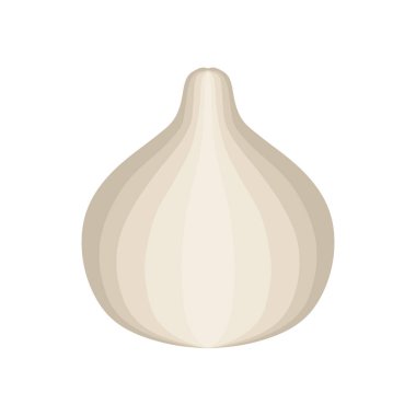 Beyaz arka planda izole edilmiş sarımsak vektör çizimi, doğal sağlıklı besin ve diyet. Vejetaryen ürünü..