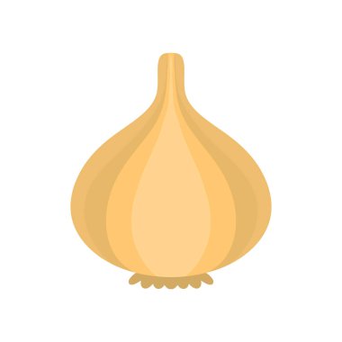 Beyaz arka planda izole edilmiş sarımsak vektör çizimi, doğal sağlıklı besin ve diyet. Vejetaryen ürünü..