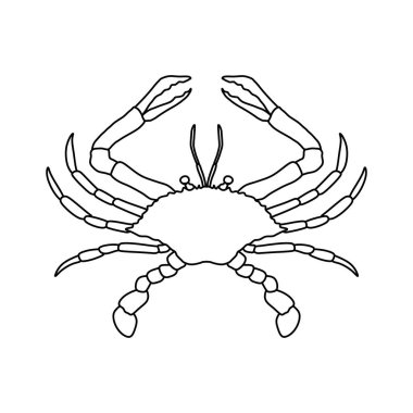 Crabs line art vector illustration. Seafood crab in outline for icon, logo, symbol . clipart