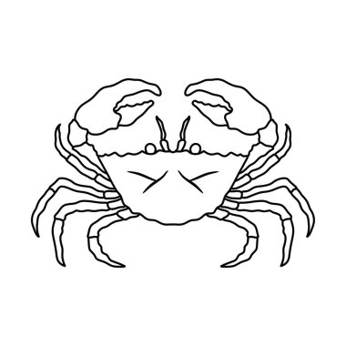 Crabs line art vector illustration. Seafood crab in outline for icon, logo, symbol . clipart