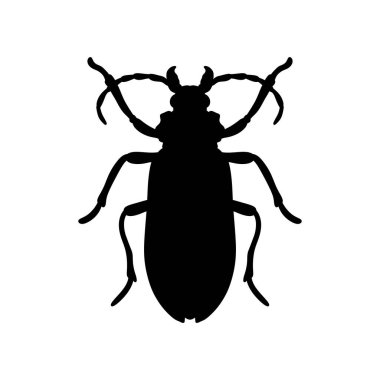 Böcek böceği simgesi siluetleri vektör tasarım çizimi, izole edilmiş beyaz arkaplan