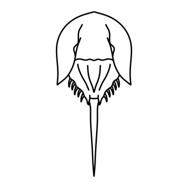 Beyaz Arkaplanda izole edilmiş at nalı yengeç vektör resimleme simgesi