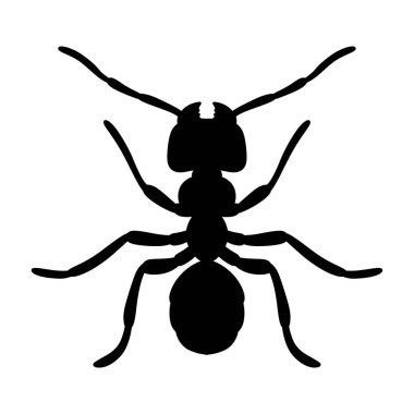 Beyaz arkaplanda izole edilmiş bir karınca vektör illüstrasyonunun silüeti.