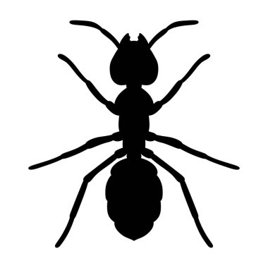 Beyaz arkaplanda izole edilmiş bir karınca vektör illüstrasyonunun silüeti.