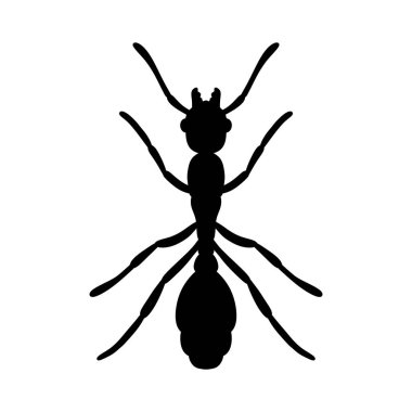 Beyaz arkaplanda izole edilmiş bir karınca vektör illüstrasyonunun silüeti.