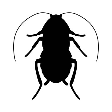Beyaz arka planda izole edilmiş hamamböceği silueti.