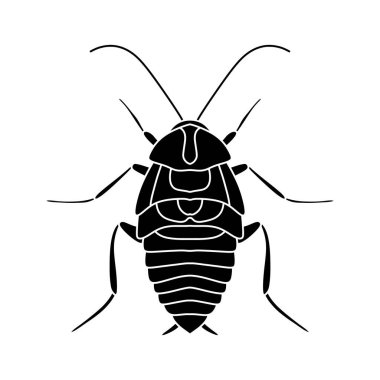 Beyaz arkaplanda siyah beyaz olarak izole edilmiş vektör hamamböceği çizimi.