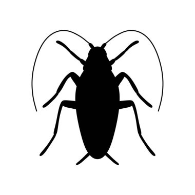 Beyaz arka planda izole edilmiş hamamböceği silueti.