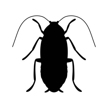 Beyaz arka planda izole edilmiş hamamböceği silueti.