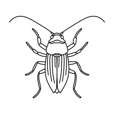 hamamböceği çizgisi simgesi çizimi beyaz arkaplanda izole edildi.