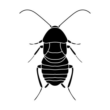 Beyaz arkaplanda siyah beyaz olarak izole edilmiş vektör hamamböceği çizimi.