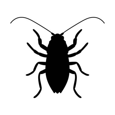 Beyaz arka planda izole edilmiş hamamböceği silueti.