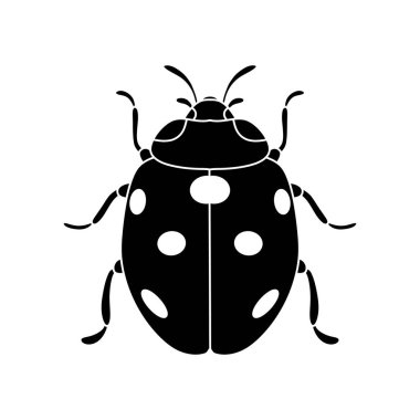 Uğur böceği siyah ve beyaz vektör simgesi beyaz arkaplanda izole edildi
