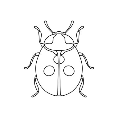 Uğurböceği doğrusal simgesi. İnce çizgi çizimi beyaz arkaplanda izole edildi.