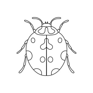 Uğurböceği doğrusal simgesi. İnce çizgi çizimi beyaz arkaplanda izole edildi.