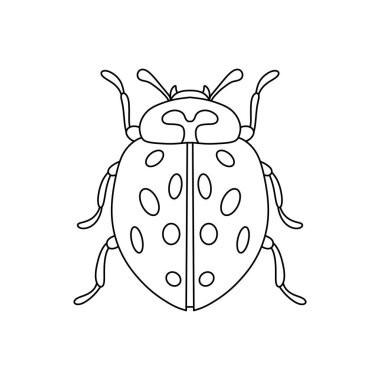 Uğurböceği doğrusal simgesi. İnce çizgi çizimi beyaz arkaplanda izole edildi.