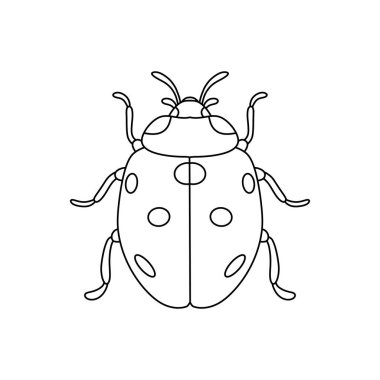 Uğurböceği doğrusal simgesi. İnce çizgi çizimi beyaz arkaplanda izole edildi.