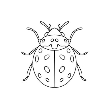 Uğurböceği doğrusal simgesi. İnce çizgi çizimi beyaz arkaplanda izole edildi.