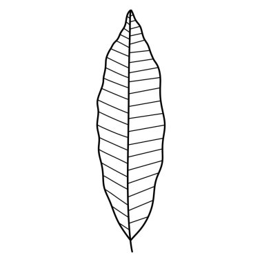 yaprak siluet vektör simgesi simgesi tasarım.