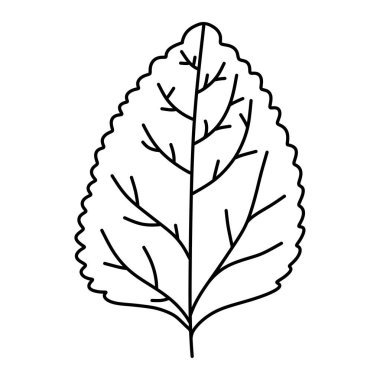 Beyaz arkaplanda siyah yaprakların el çizimleri.