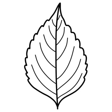 Beyaz arkaplanda siyah yaprakların el çizimleri.