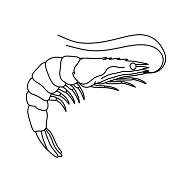 Karides çizgisi sanat vektörü çizimi. Monokrom tarzında karides. Logo stili karides.
