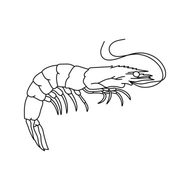 Karides çizgisi sanat vektörü çizimi. Monokrom tarzında karides. Logo stili karides.