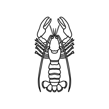 Kerevit ıstakoz çizgisi çizimi beyaz arka planda izole edilmiş. Restoran, mutfak, deniz ürünleri menüsü, balıkçılık, kıyı dekorasyonu için deniz ürünleri ıstakozu çizimi. Deniz hayatı ve mutfak konsepti..