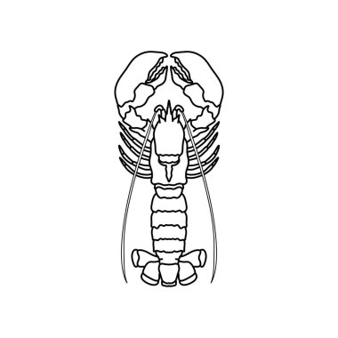 Kerevit ıstakoz çizgisi çizimi beyaz arka planda izole edilmiş. Restoran, mutfak, deniz ürünleri menüsü, balıkçılık, kıyı dekorasyonu için deniz ürünleri ıstakozu çizimi. Deniz hayatı ve mutfak konsepti..