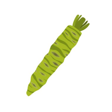 Beyaz arka planda izole edilmiş taze wasabi kök düz tasarım vektör çizimi. Asya yemeği, baharat, Asya bitkisi, Japonya, sebze için kullanılabilir. Japon yemekleri için çiğ wasabi suşi için aperatif