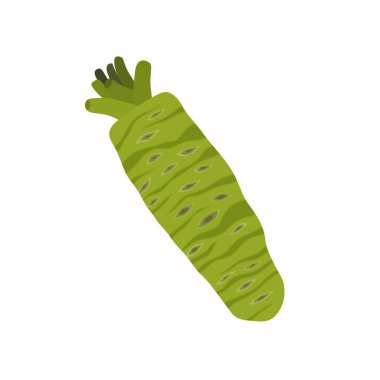 Beyaz arka planda izole edilmiş taze wasabi kök düz tasarım vektör çizimi. Asya yemeği, baharat, Asya bitkisi, Japonya, sebze için kullanılabilir. Japon yemekleri için çiğ wasabi suşi için aperatif