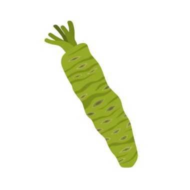 Beyaz arka planda izole edilmiş taze wasabi kök düz tasarım vektör çizimi. Asya yemeği, baharat, Asya bitkisi, Japonya, sebze için kullanılabilir. Japon yemekleri için çiğ wasabi suşi için aperatif