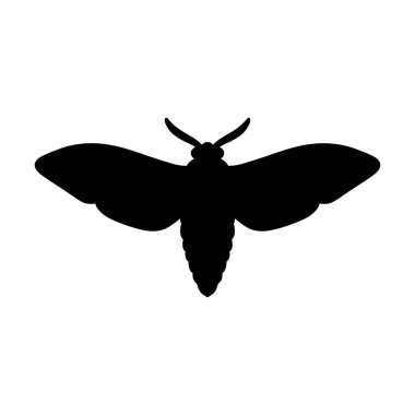 Siyah ve beyaz güve silueti beyaz arka planda izole edilmiş. Kelebek vektör çizimi. Güve, böcek, kelebek, kanatlar, sanat, tasarım, illüstrasyon, grafik, doğa